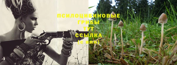 МДПВ Балабаново