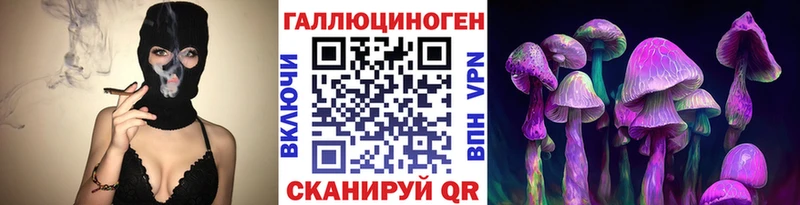 Галлюциногенные грибы Psilocybe  Купить закладки  Невельск 