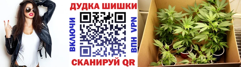 Каннабис AK-47  Купить  Невельск 